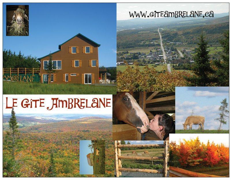 Le Gîte Ambrelane Thetford Mines Exterior foto